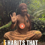 Embrace the Cat Life: Five Habits Worth Knowing