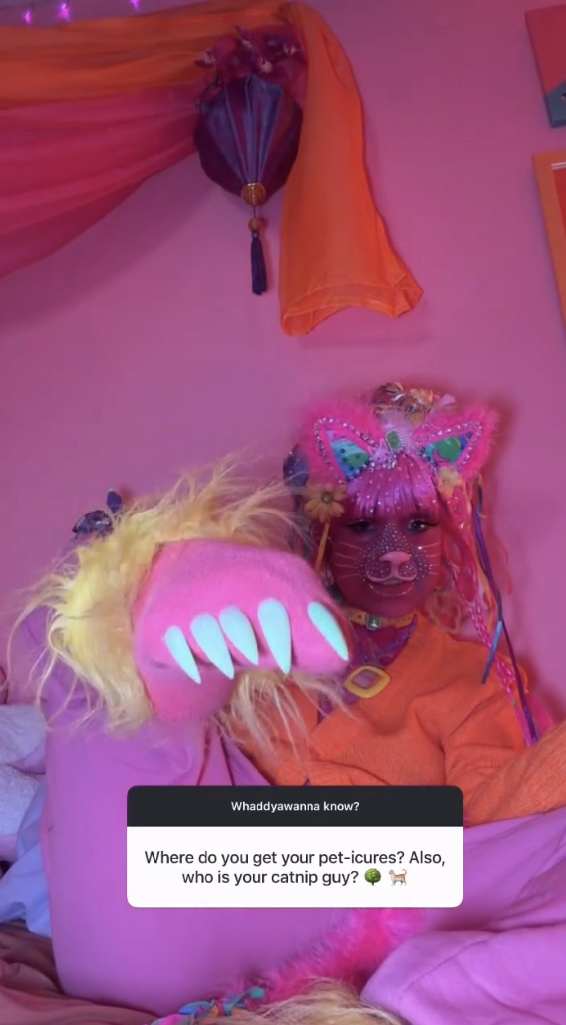 Introducing Bad Kitty