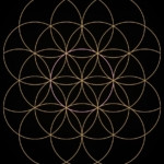 The Geometry of Everything On Platonic solids, the Flower of Life, and the real science of turning sound into shape — where the history checks out, where cymatics ends and belief begins, and why nothing about that makes the pattern any less astonishing.