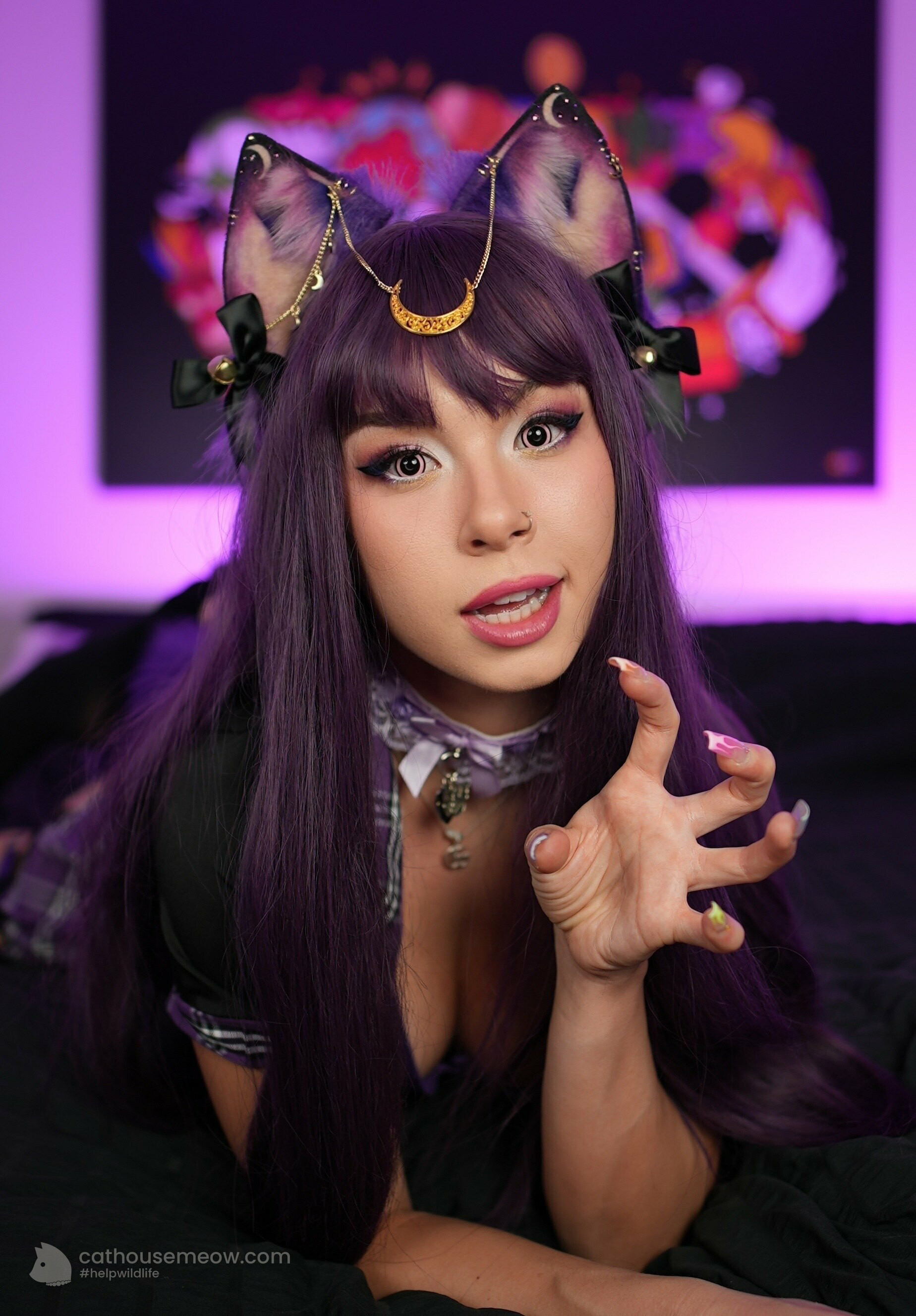 Dessie Cat as Moonlight Cat with crescent moon cat ears