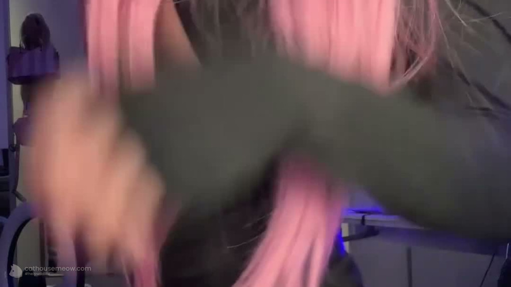 Flirty Pink Hair Black Bodysuit Moves