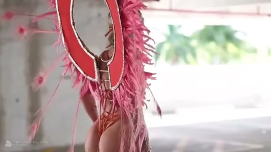 Pink Feather Wings In Garage Glam